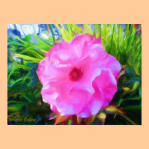 Wild Rose posters
