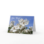 Wild Roses ~ card