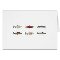 Wild Salmon Greeting Cards