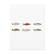 Wild Salmon Postcards
