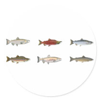 Wild Salmon Sticker