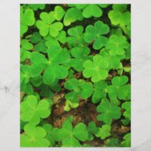 Wild Shamrocks Full Color Flyer
