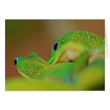 Wild Side Lighthearted Romantic Fun Greeting Cards