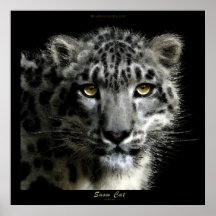 WILD SNOW LEOPARD Art Print