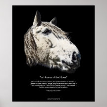 WILD STALLION & Poem, Horse Lover Fine-Art Poster