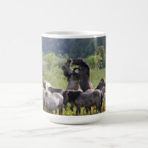 wild stallions mug