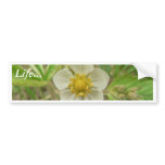 Wild Strawberry Flower Yellow Flower bumper stickers