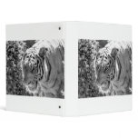 Wild Striped Tiger Black and White Vinyl Binders