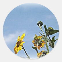 Wild Sunflowers Stickers