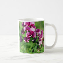 Wild Sweet-pea Flower Coffee Mugs