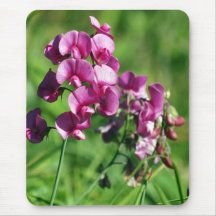 Wild Sweet-pea Flower Mousepads