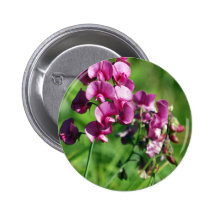 Wild Sweet-pea Flower Pin