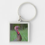 Wild Tom Keychains