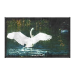 Wild Trumpeter Swan Motivational Art Canvas Print