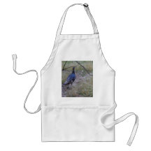 Wild Turkey At Zion National Park Aprons