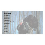 Wild turkey business card