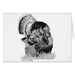 Wild Turkey Cards