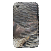 Wild Turkey Feathers iPhone3 Case