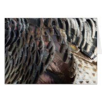 Wild Turkey Feathers Nature Card