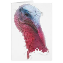 Wild Turkey Head
