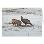 Wild Turkey in Snowy Field Cards