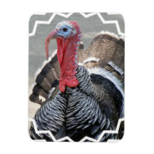 Wild Turkey  Premium Magnet