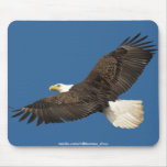 WILD WARRIORS Collection Mousepads