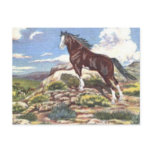 wild west 4 postcard
