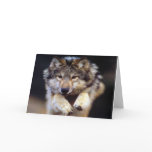 Wild Wolf Greeting Card