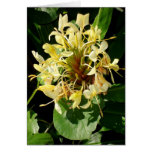 Wild Yellow Ginger Card