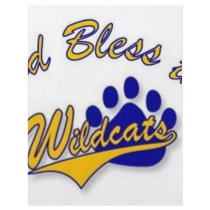 wildcat pin flyer design