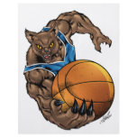 Wildcats Bobcats Basketball Blue, White Stripe flyers
