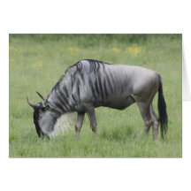 Wildebeast Greeting Card