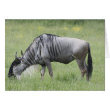 Wildebeast Greeting Card