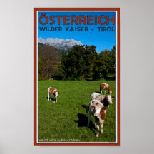 Wilder Kaiser - Cows Poster