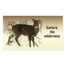 Wilderness Tours Business Card