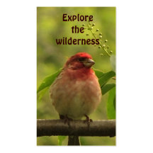Wilderness Tours Business Card Template