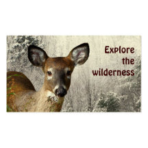 Wilderness Tours Business Card Templates