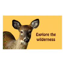 Wilderness Tours Business Cards