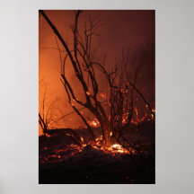 Wildfire Poster
