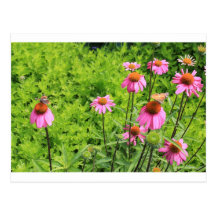 wildflower 099.JPG Postcards