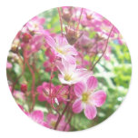 wildflower 1b stickers