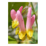 Wildflower 25 ~ ATC Business Card Template