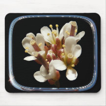 Wildflower 36 framed ~ mousepad