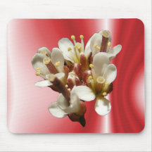 Wildflower 36 ~ mousepad