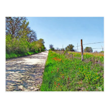 Wildflower Back Road Near Dale, TX Postcards