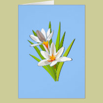 Wildflower Beauty cards