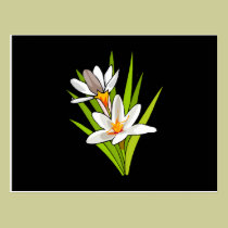 Wildflower Beauty postcards