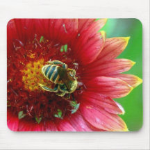 Wildflower & Bee Mouse Pad
