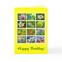 Wildflower Birthday